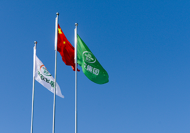 yp街机·电子游戏(中国)官方网站