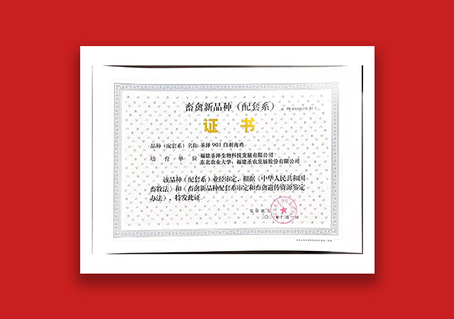 20220124161556 yp街机·电子游戏(中国)官方网站